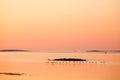 flying wild ducks over the water at dawn Royalty Free Stock Photo