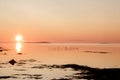 flying wild ducks over the water at dawn Royalty Free Stock Photo