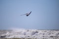 A flying windsurfer above the turquoise water Royalty Free Stock Photo