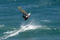 Flying Windsurfer Windsurfing in Hawaii Royalty Free Stock Photo
