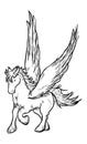 Flying winged pegasus horse