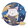 The flying wizard White cat uses a broom in the night