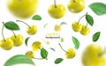 Flying yellow cherries background. Realistic quality vector.