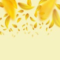 Flying yellow petals Royalty Free Stock Photo