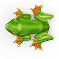 Flyng frog Royalty Free Stock Photo