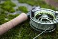 Flyrod on moss Royalty Free Stock Photo