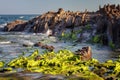 Flysch on the beach Saturraran, Mutriku, spain Royalty Free Stock Photo