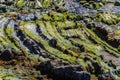 Flysch in Zumaia, Basque Country Spain Royalty Free Stock Photo