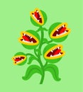 Flytrap monster plant. Flower predator Carnivorous plant. Angry Flowers with Teeth Royalty Free Stock Photo