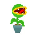 Flytrap pixel art. Flower predator Carnivorous plant in pot. Angry Flowers with Teeth 8 bit Royalty Free Stock Photo