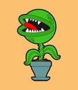 Flytrap in pot. Flower predator Carnivorous plant. Angry Flowers with Teeth Royalty Free Stock Photo