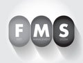 FMS - Fleet Management System acronym, business concept background Royalty Free Stock Photo