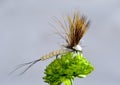 Foam Dry Fly Royalty Free Stock Photo