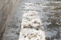 Foam on Polluted Water, Sunlit