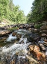 The foam of river rapids in a wooded area Royalty Free Stock Photo