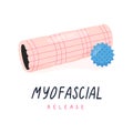 Foam roller and trigger point ball for myofascial release, yoga, pilates. Equipment for alternative medicine and physiotherapy. Ve