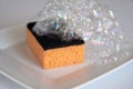 Foam sponge for washing dishes, white plate on a white background with foam