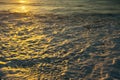 Foam of the surf during sunset on the coast of the Atlantic Ocean. Royalty Free Stock Photo