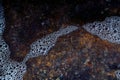 Foam on the water. Dark water Royalty Free Stock Photo