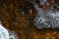 Foam on the water. Dark water Royalty Free Stock Photo