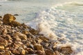 Foaming pastel wave washing across bay with distant wave backwash, breaking on rocky shoreline Royalty Free Stock Photo