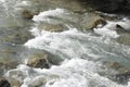 Foaming water and rocks in a river