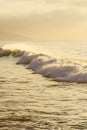 Foaming wave breaking into the distance across a yellow ocean with backspray Royalty Free Stock Photo