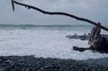 Foaming wave races up pebble beach to engulf a driftwood log