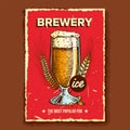Foamy Beer Glass Brewery Advertising Banner Vector Royalty Free Stock Photo
