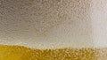 Foamy beer sizzling bubbling transparent glass closeup.Blebs froth raising up Royalty Free Stock Photo