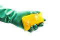 Foamy cleaning sponge in a hand Royalty Free Stock Photo