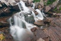 Foamy Mountain Stream Royalty Free Stock Photo