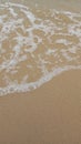 Foamy ocean water bubble on sandy beach Royalty Free Stock Photo