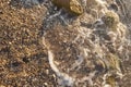Foamy sea shore at the beach, close up Royalty Free Stock Photo