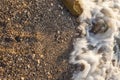 Foamy sea shore at the beach, close up Royalty Free Stock Photo