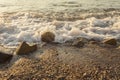 Foamy sea shore at the beach, close up Royalty Free Stock Photo