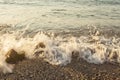 Foamy sea shore at the beach, close up Royalty Free Stock Photo