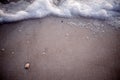 Foamy surf on wet beach sand forming a border