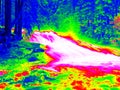 Foamy water level of waterfall, curves between boulders of rapids. Water of mountain river in infrared photo. Amazing thermography