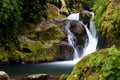 Foamy waterfall flowing through green algal rocks, long exposure