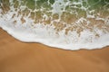 Foamy wave on sandy beach, picturesque coastal scene