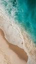 Foamy wave on sandy beach, picturesque coastal scene