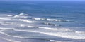 Foamy waves of the ocean at San Diego, California