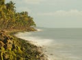 Foamy waves under long exposure with moss covered rocks and line of coconut trees along the sea shore Royalty Free Stock Photo