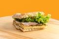 Focaccia sandwich with lettuce, ham and omelette Royalty Free Stock Photo