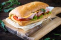 Focaccia sandwich Royalty Free Stock Photo