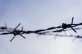 Focus on Barbed Wire Silhouette Against a Bright Sky, Symbolizing Restriction Royalty Free Stock Photo