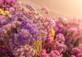 Focus on Black Background., Fresh purple flowers, Focusing on purple bouquets with gentle morning sunlight
