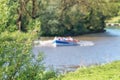 Focus on the bush in the foreground with a sloop in action on the river Linge in the Betuwe Royalty Free Stock Photo