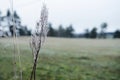 Winter has arrived in the Swedish countryside Royalty Free Stock Photo